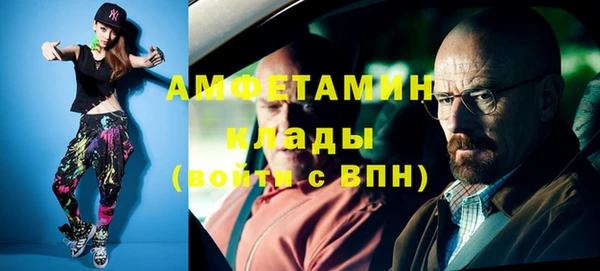 гидра Грязи