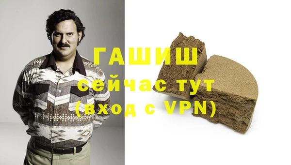 гидра Грязи
